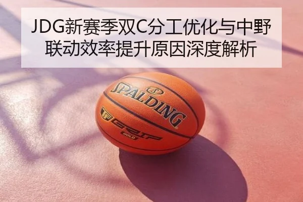 JDG新赛季双C分工优化与中野联动效率提升原因深度解析